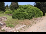 05909 ostia - regio iv - insula viii - edificio (iv,viii,5) - via di cartilio poplicola - nordwestecke - 06-2024.jpg